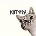Канал КОТЯРА😸 в Telegram