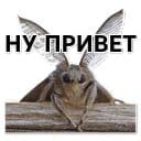 Стикеры Тутовый шелкопряд в Telegram