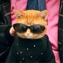 Канал eat.sleep.wear. в Telegram