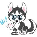 Стикеры Хаски в Telegram