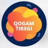 Telegram-группа АКТИВНЫЕ ГРАЖДАНЕ ГОРОДА АКТОБЕ | АКТОБЕ ОБРАЩЕНИЯ | QOGAM TIREGI