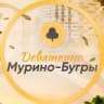 Девяткино Мурино Бугры
