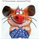 Канал Юмор, мемы, анекдоты 🤣 в Telegram