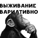 Стикеры Примат в Telegram