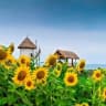 Telegram-канал ☀️ Детский сад 219 ☀️