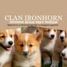 Питомник 🐶CLAN IRONHORN🐶 corgi🐶корги🐶