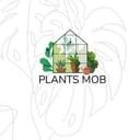 Канал Растения Plants Mob в Telegram