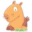 Стикеры Капи Барри в Telegram