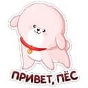 Стикеры Пудинг в Telegram