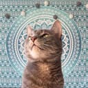 Канал КУСЬ в Telegram