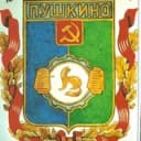Канал Пушкино Новости в Telegram