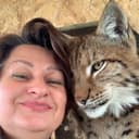 Канал Amur&kitties в Telegram