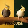 Telegram-канал 🦜 P A R R O D I S E 🦜