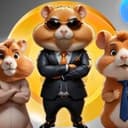 Канал Hamster Kombat комбо карточек/лайфхаки/ шифр хомяков в Telegram