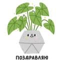 Стикеры Домашние растения в Telegram