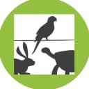 Канал WebExoVet - Online school for Exotic Vets в Telegram