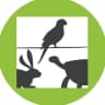 Telegram-канал WebExoVet - Online school for Exotic Vets