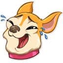 Стикеры Чихуахуа в Telegram