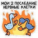 Стикеры Дикие гуси в Telegram