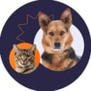 Канал Приют в Печатниках | Москва в Telegram