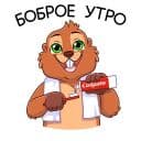 Стикеры Боря в Telegram