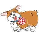 Стикеры Коржик в Telegram