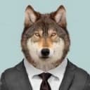 Канал Тамбовский волк в Telegram