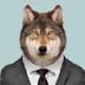Telegram-канал Тамбовский волк