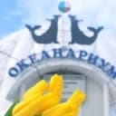 Канал Мурманский океанариум в Telegram