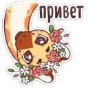 Стикеры Кокосик в Telegram