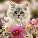 Группа Анекдот в Telegram