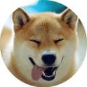 Стикеры Собака Сиба-Ину в Telegram