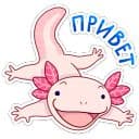 Стикеры По и Фо в Telegram