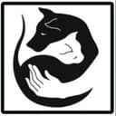 Канал Потеряшки Краснодар🐶🐱 в Telegram