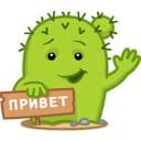 Стикеры Кактус Коля в Telegram