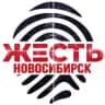 Telegram-канал Жесть Новосибирск