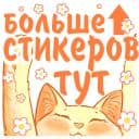 Стикеры Котики и фразочки - летние в Telegram