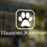 Telegram-группа Чат:Иваново Животные (И.Ж.)