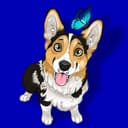 Канал Корги Луна в Telegram
