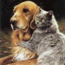 Группа 🐾Хвостики🐾 5614681916807021 в Telegram
