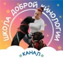 Канал 𝕊𝕙𝕂𝕆𝕃𝔸 𝔻𝕆𝔹ℝ𝕆𝕐 𝕂𝕀ℕ𝕆𝕃𝕆𝔾𝕀𝕀 в Telegram