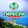 Telegram-группа Гиресун | Инфо Чат 🇹🇷