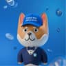 Telegram-канал barboskich.ton