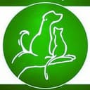 Канал helpdogdv в Telegram