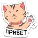 Стикеры Тигрёнок в Telegram