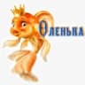 Telegram-канал Pomorfish Долгопрудный Москва