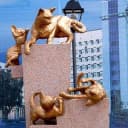 Канал 72news. Новости Тюмени в Telegram