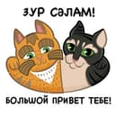 Канал Коты Казани | Помощь бездомным мурлыкам в Telegram