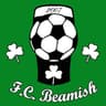 Beamish FC