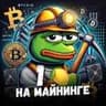 Pepe майнит 🍋 Майнинг, оборудование, аналитика